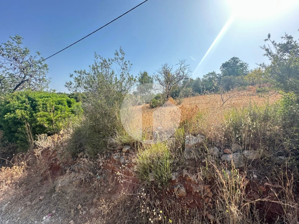 Terreno Agricola ou Rústico para Venda em Pechão Foto 3