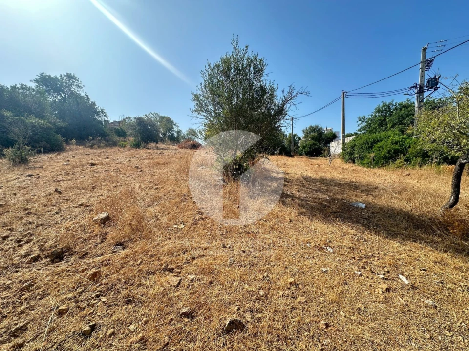Terreno Agricola ou Rústico para Venda em Pechão Foto 5