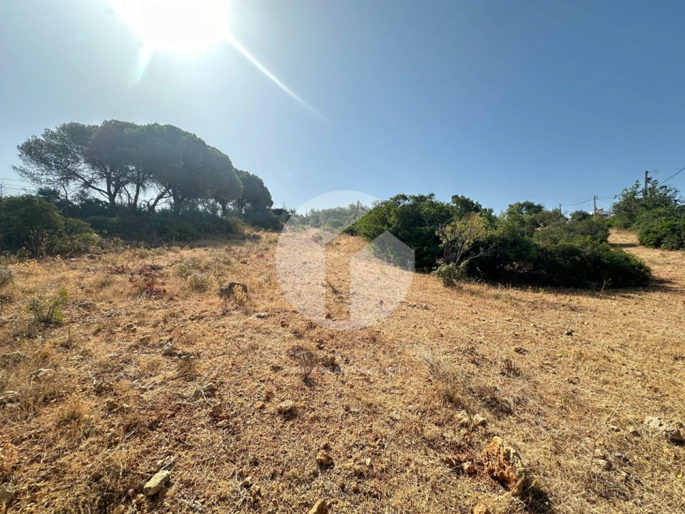 Terreno Agricola ou Rústico para Venda em Pechão Foto 7