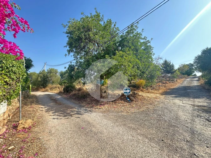 Terreno Agricola ou Rústico para Venda em Pechão Foto 1