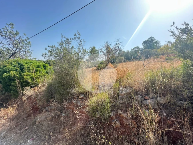 Terreno Agricola ou Rústico para Venda em Pechão Foto 3