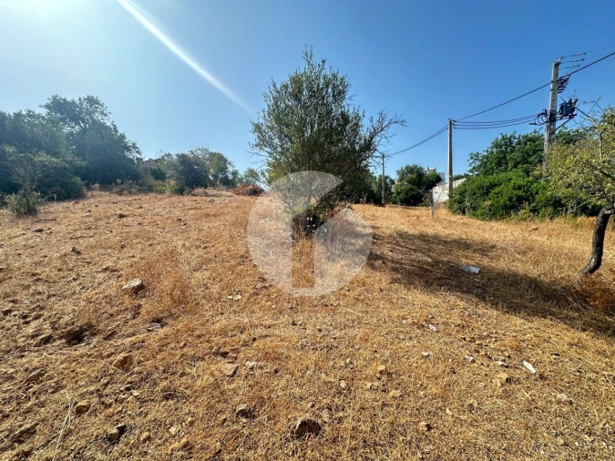 Terreno Agricola ou Rústico para Venda em Pechão Foto 5