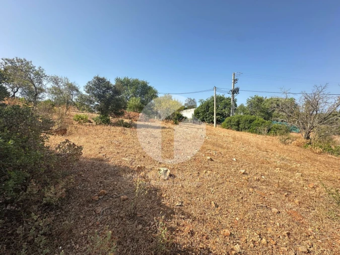 Terreno Agricola ou Rústico para Venda em Pechão Foto 6
