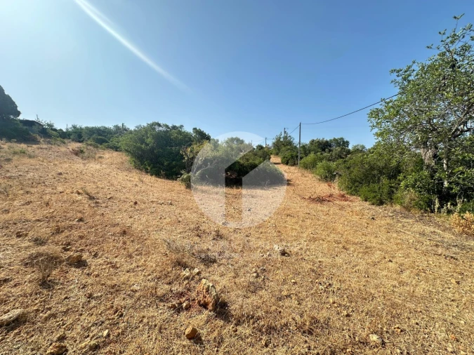 Terreno Agricola ou Rústico para Venda em Pechão Foto 10
