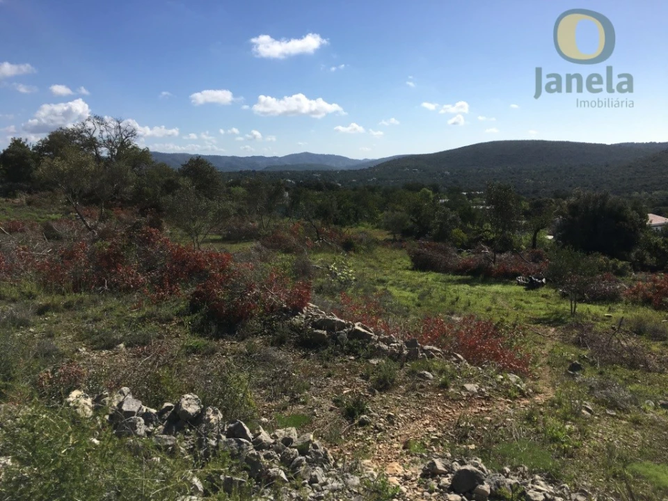 Terreno para Venda em Loule (São Clemente) Foto 3