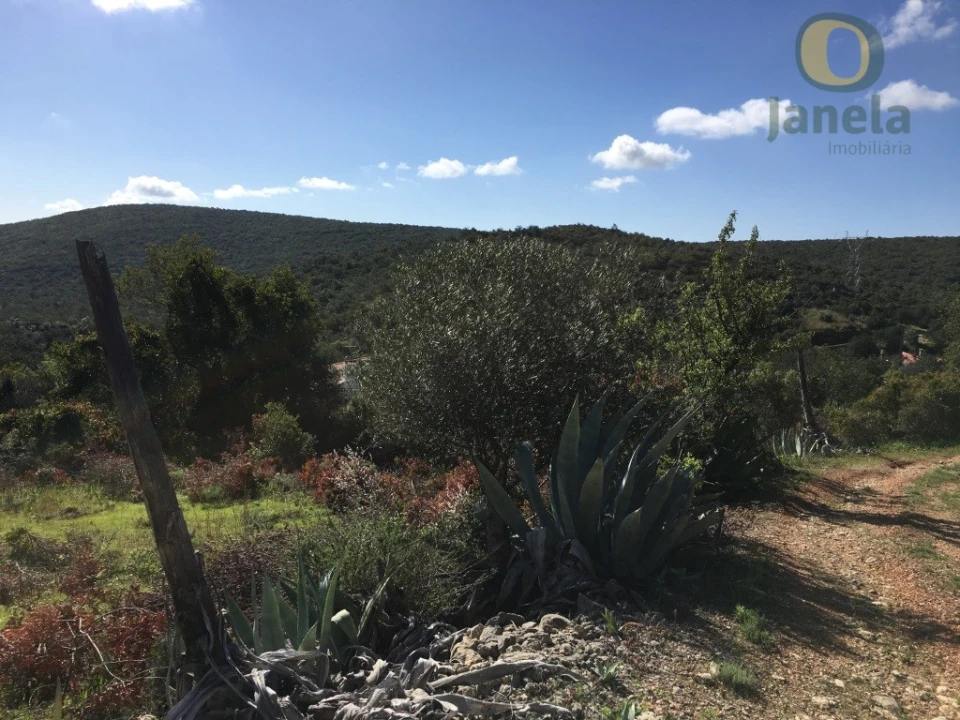 Terreno para Venda em Loule (São Clemente) Foto 4