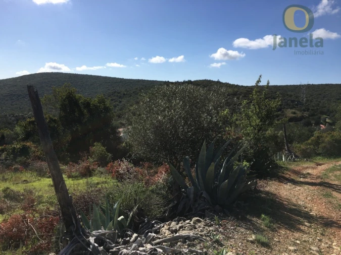 Terreno para Venda em Loule (São Clemente) Foto 4