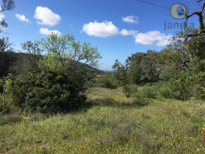 Terreno para Venda em Loule (São Clemente) Foto 5