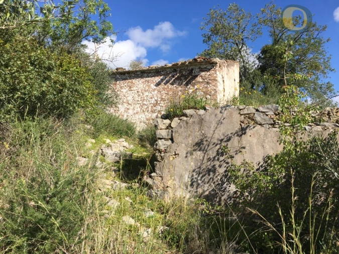 Terreno para Venda em Loule (São Clemente) Foto 2