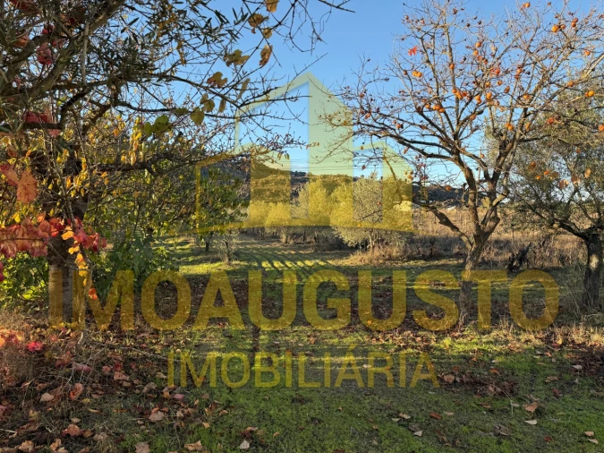 Moradia T3 para Venda em Marialva Foto 12