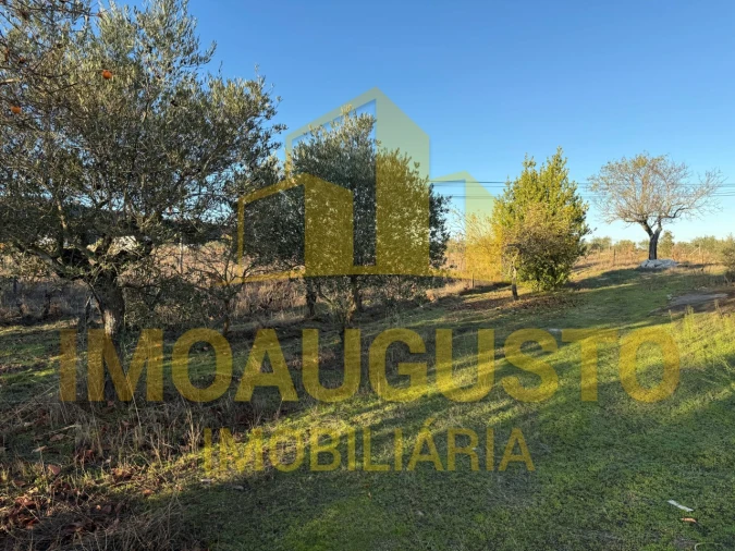 Moradia T3 para Venda em Marialva Foto 13