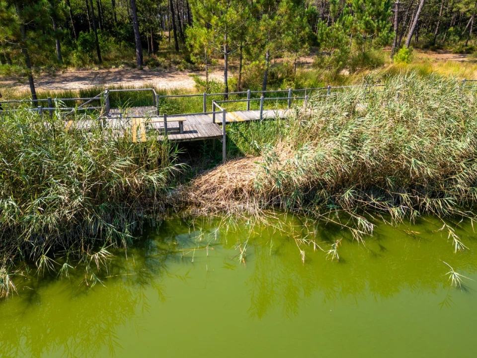 Moradia T4 para Venda em Pataias e Martingança Foto 36