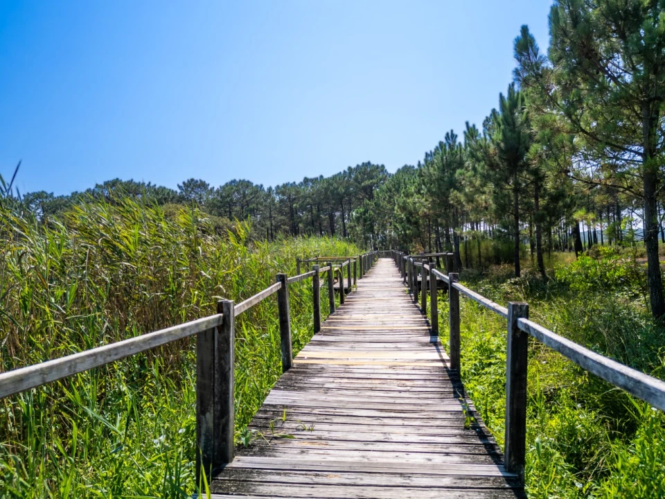 Moradia T4 para Venda em Pataias e Martingança Foto 40