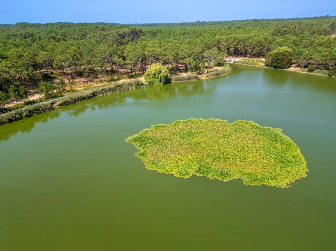 Moradia T3 para Venda em Pataias e Martingança Foto 38