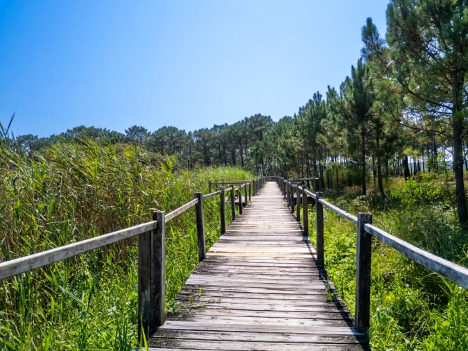 Moradia T3 para Venda em Pataias e Martingança Foto 40