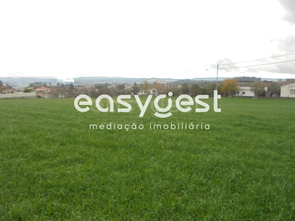 Terreno para Venda em São João Baptista e Santa Maria dos Olivais Foto 1