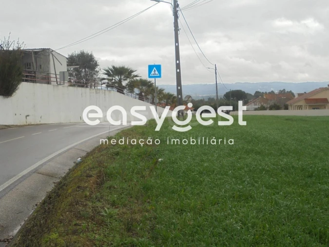 Terreno para Venda em São João Baptista e Santa Maria dos Olivais Foto 4