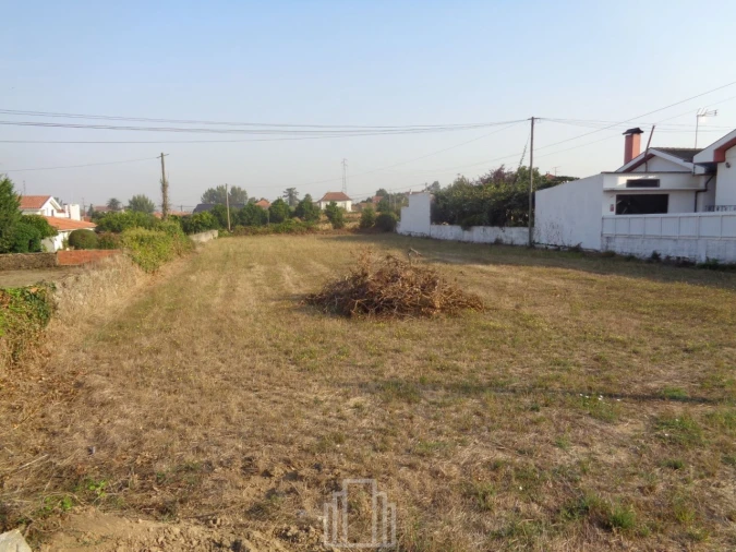 Terreno Agricola ou Rústico para Venda em Avanca Foto 4