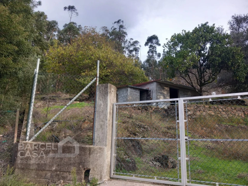Terreno para Venda em Alheira e Igreja Nova Foto 4