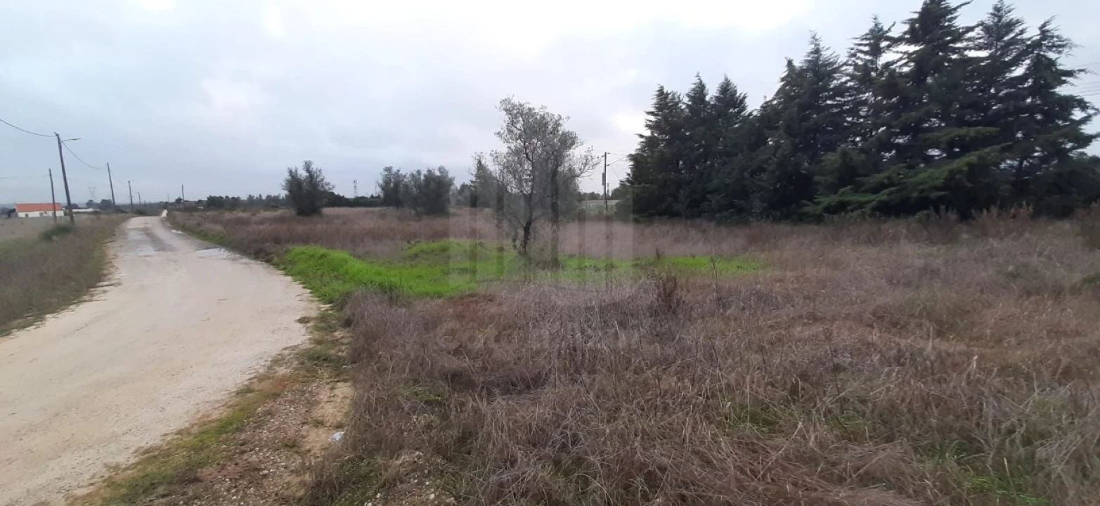 Terreno Agricola ou Rústico para Venda em Poceirão e Marateca Foto 6