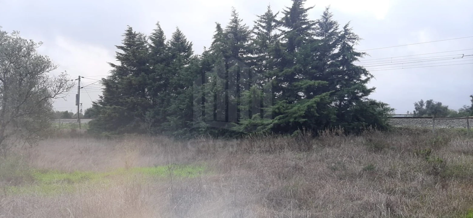 Terreno Agricola ou Rústico para Venda em Poceirão e Marateca Foto 9