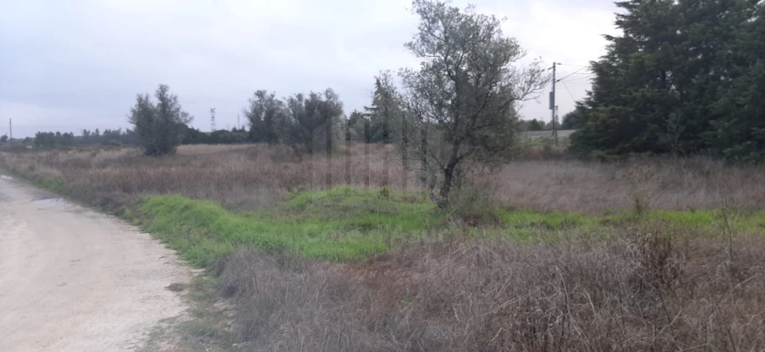 Terreno Agricola ou Rústico para Venda em Poceirão e Marateca Foto 10
