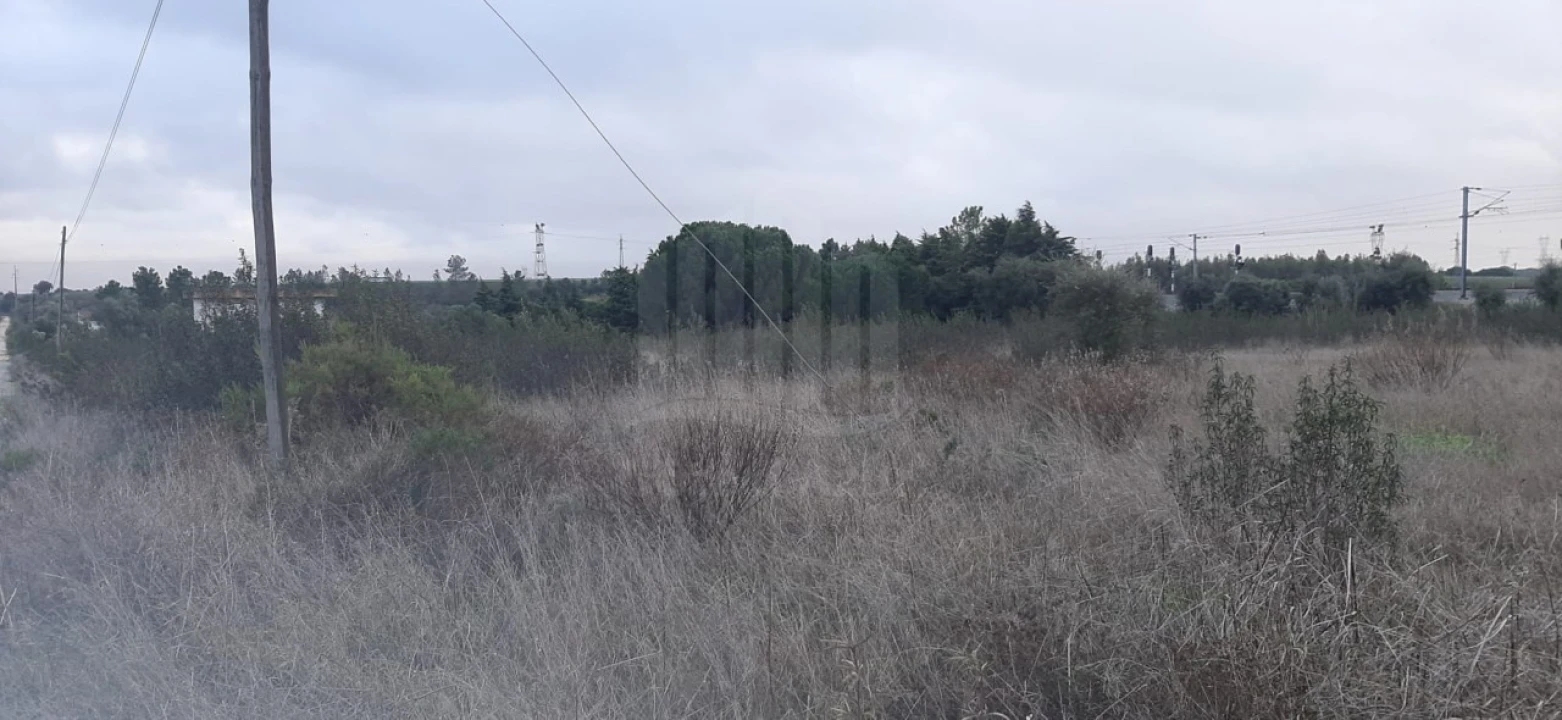 Terreno Agricola ou Rústico para Venda em Poceirão e Marateca Foto 11