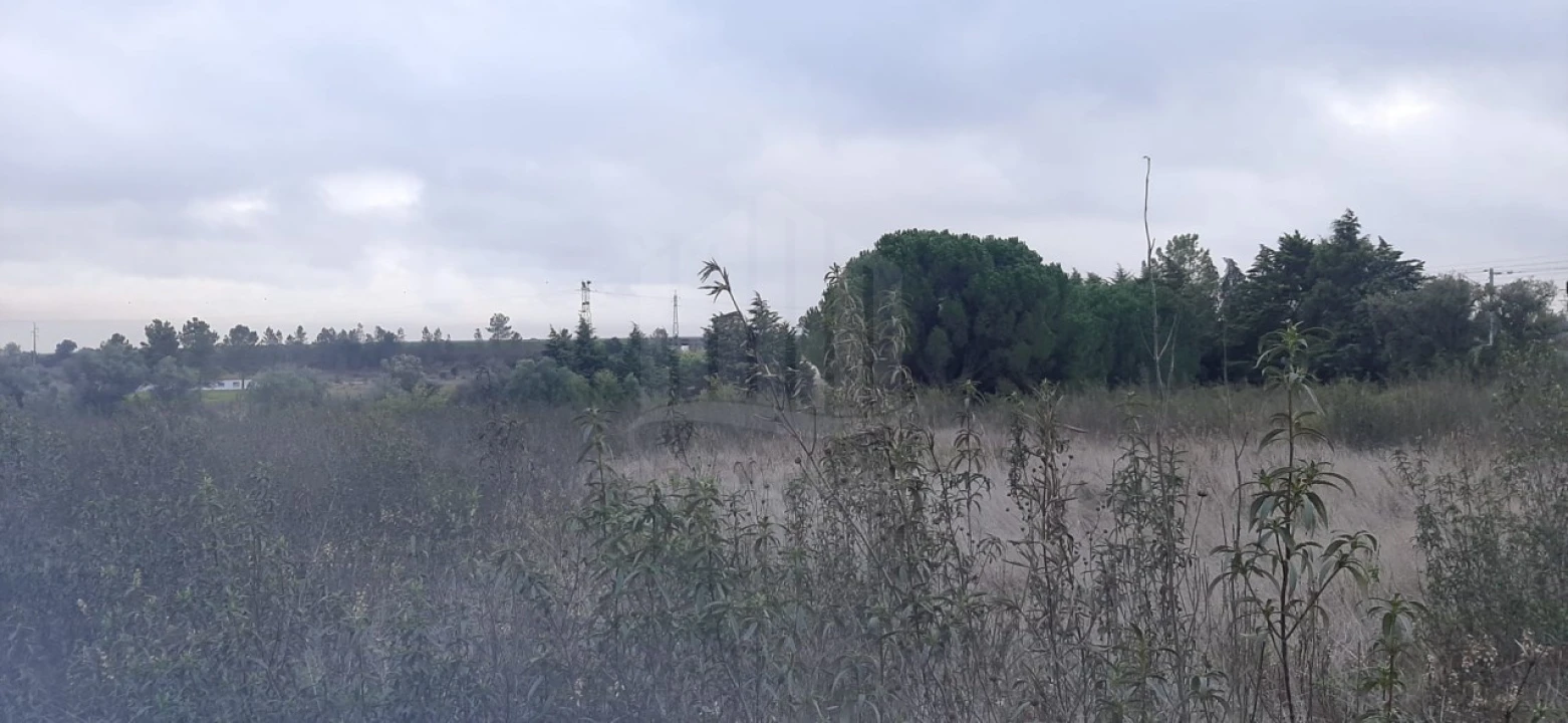 Terreno Agricola ou Rústico para Venda em Poceirão e Marateca Foto 12