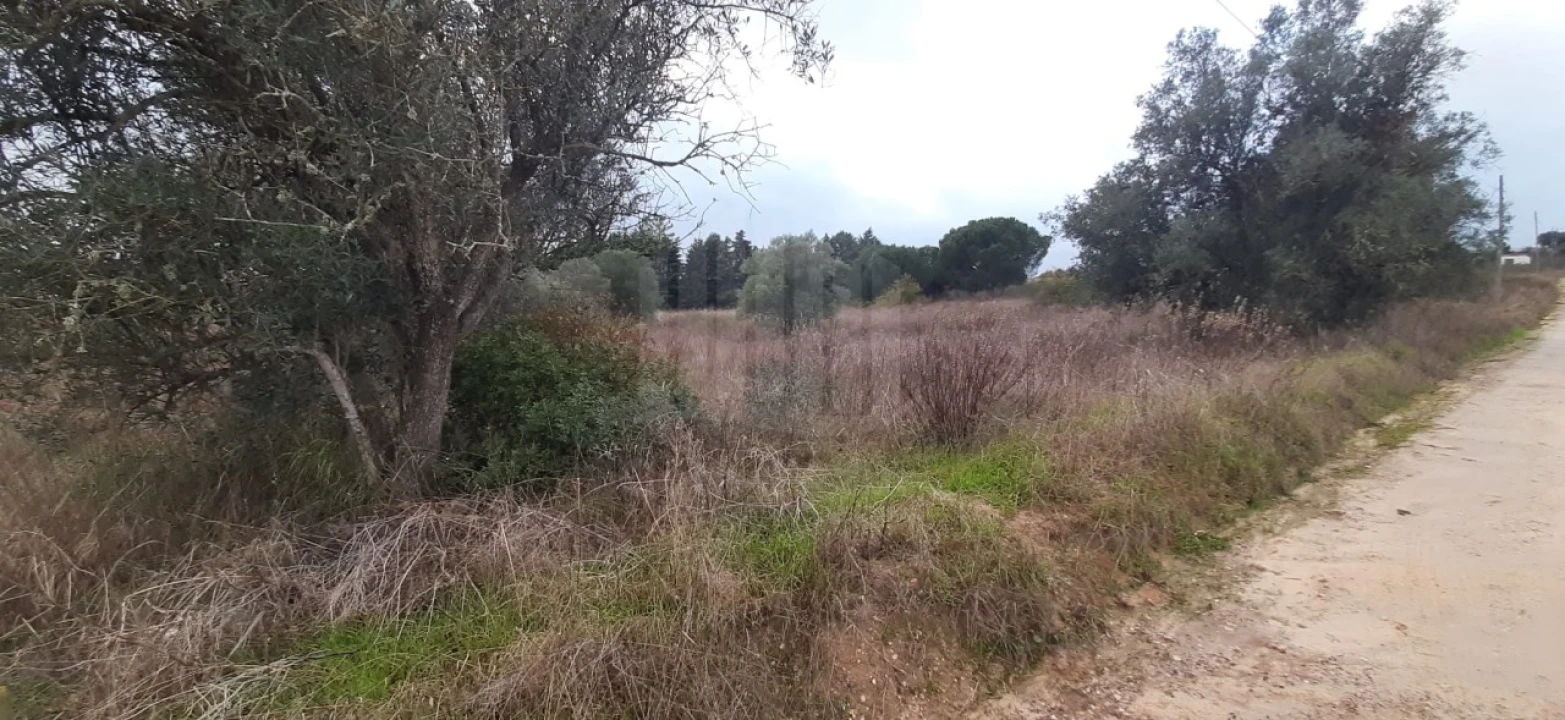 Terreno Agricola ou Rústico para Venda em Poceirão e Marateca Foto 17