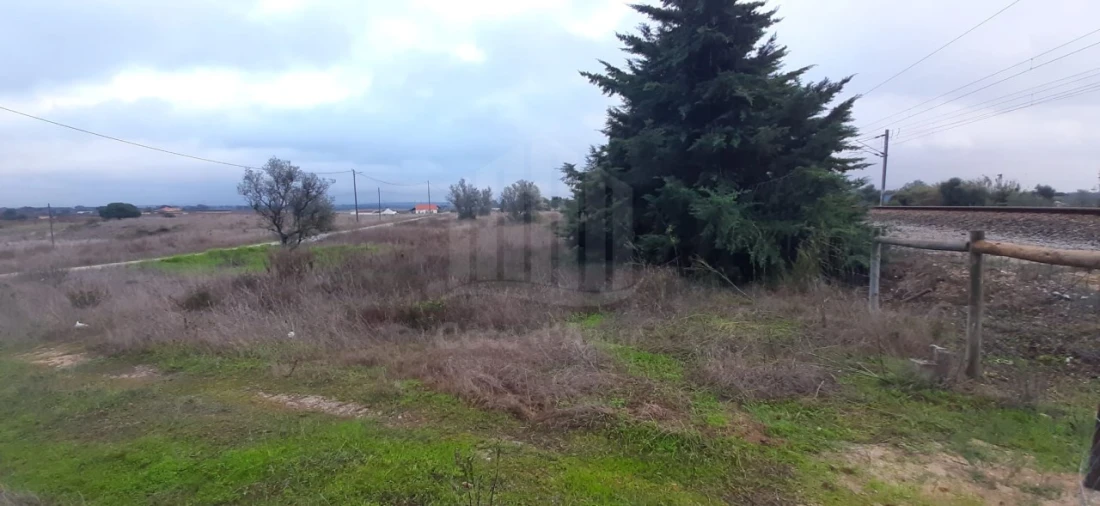 Terreno Agricola ou Rústico para Venda em Poceirão e Marateca Foto 7