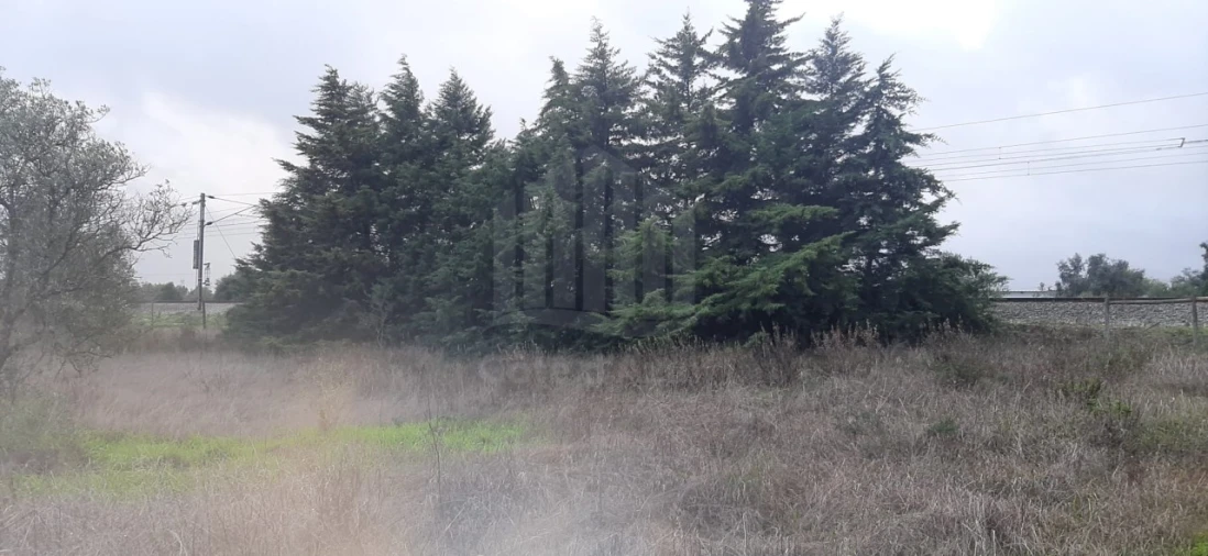 Terreno Agricola ou Rústico para Venda em Poceirão e Marateca Foto 9