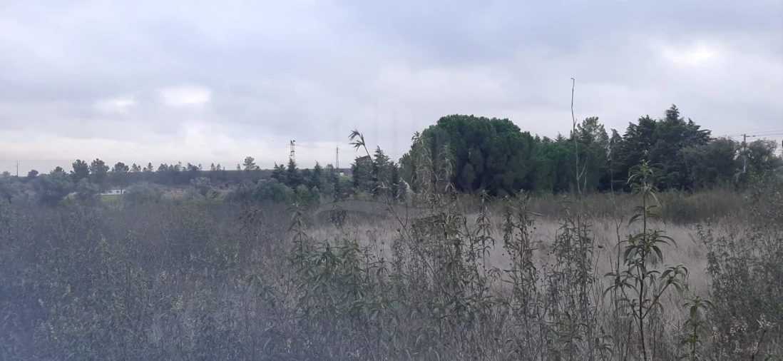 Terreno Agricola ou Rústico para Venda em Poceirão e Marateca Foto 12