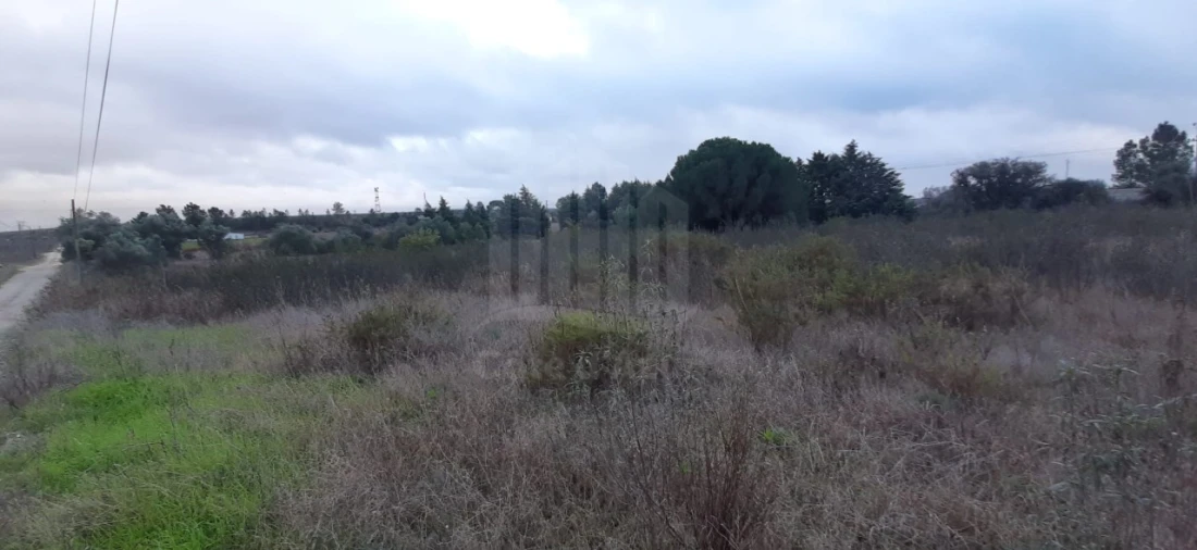Terreno Agricola ou Rústico para Venda em Poceirão e Marateca Foto 15