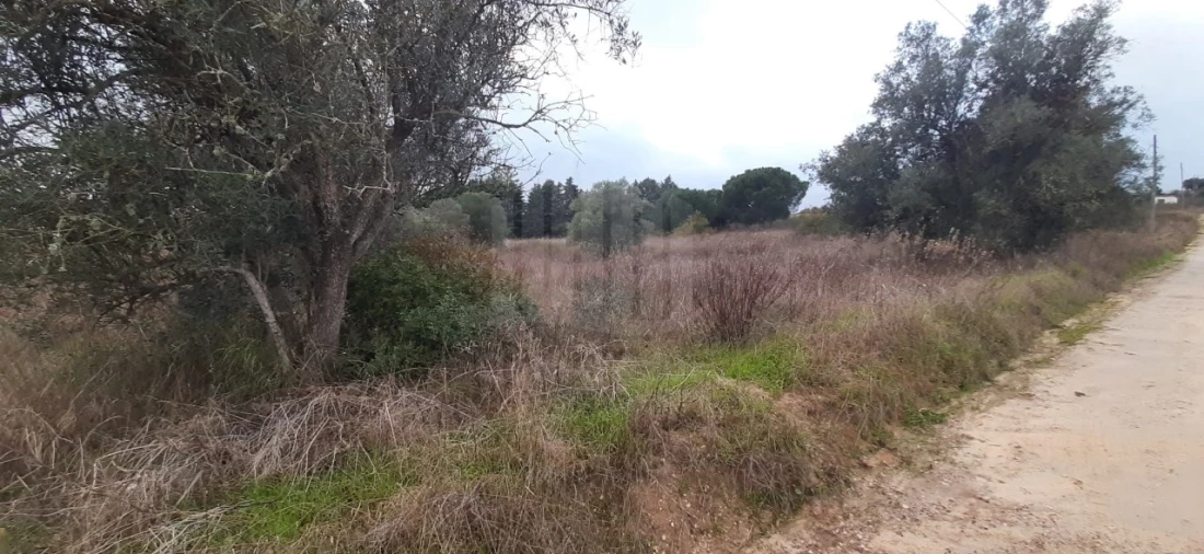 Terreno Agricola ou Rústico para Venda em Poceirão e Marateca Foto 17