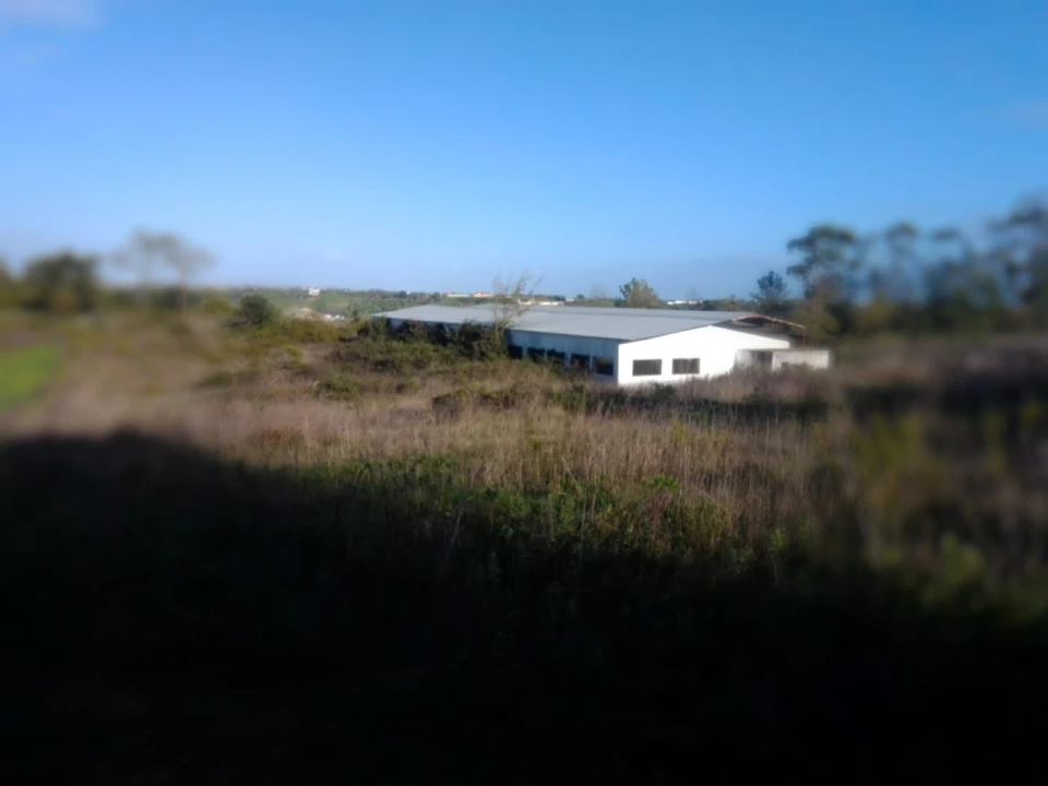 Terreno Agricola ou Rústico para Venda em Abitureiras Foto 2