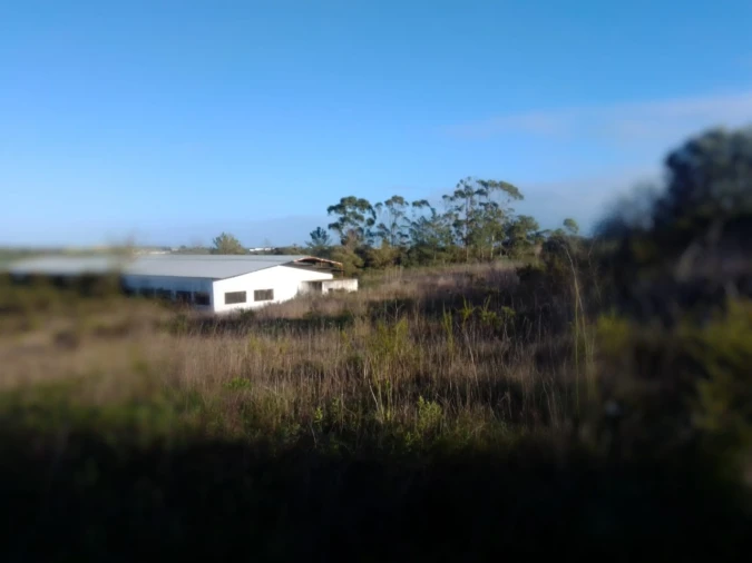 Terreno Agricola ou Rústico para Venda em Abitureiras Foto 3