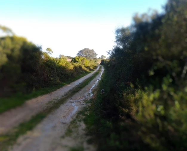 Terreno Agricola ou Rústico para Venda em Abitureiras Foto 5