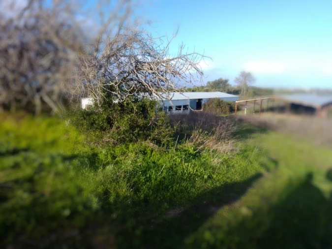 Terreno Agricola ou Rústico para Venda em Abitureiras Foto 1
