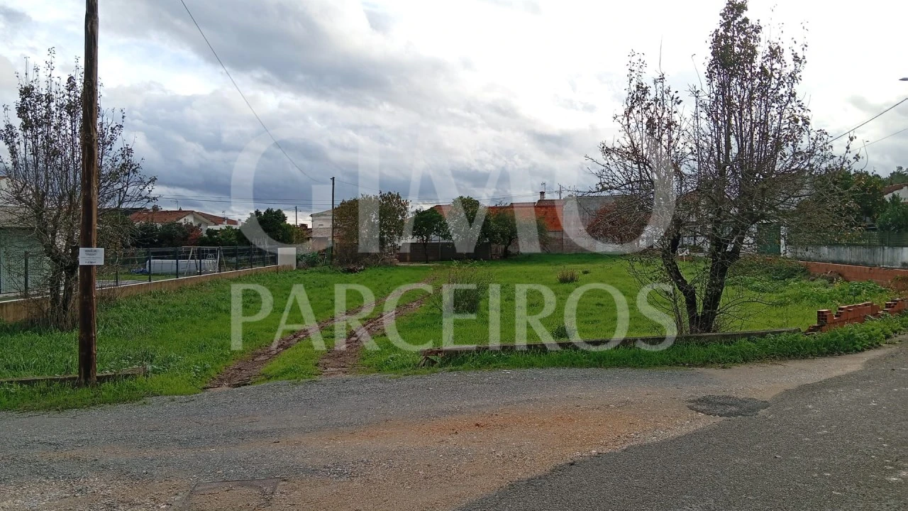 Terreno para Venda em Oiã Foto 3