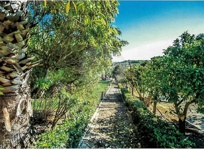 Moradia T6 para Venda em Azueira e Sobral da Abelheira Foto 9