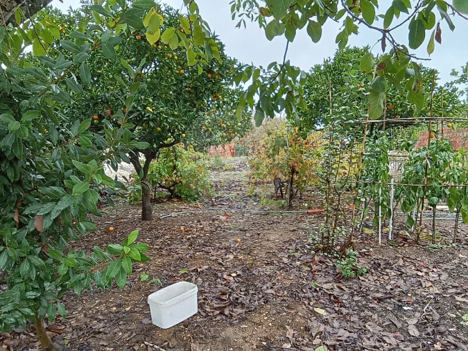 Moradia T2 para Venda em Manique do Intendente, Vila Nova de São Pedro e Maçussa Foto 17