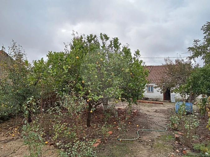 Moradia T2 para Venda em Manique do Intendente, Vila Nova de São Pedro e Maçussa Foto 16