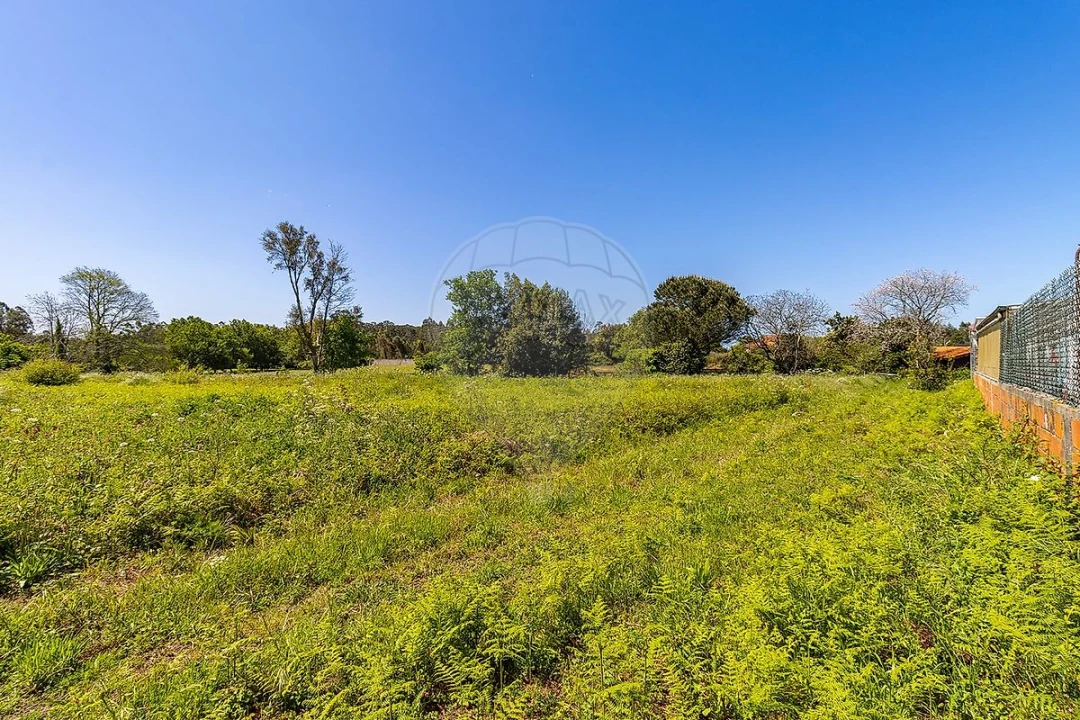 Moradia T5 para Venda em Grijó e Sermonde Foto 35