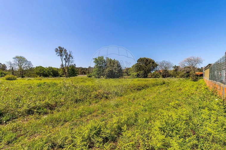 Moradia T5 para Venda em Grijó e Sermonde Foto 35