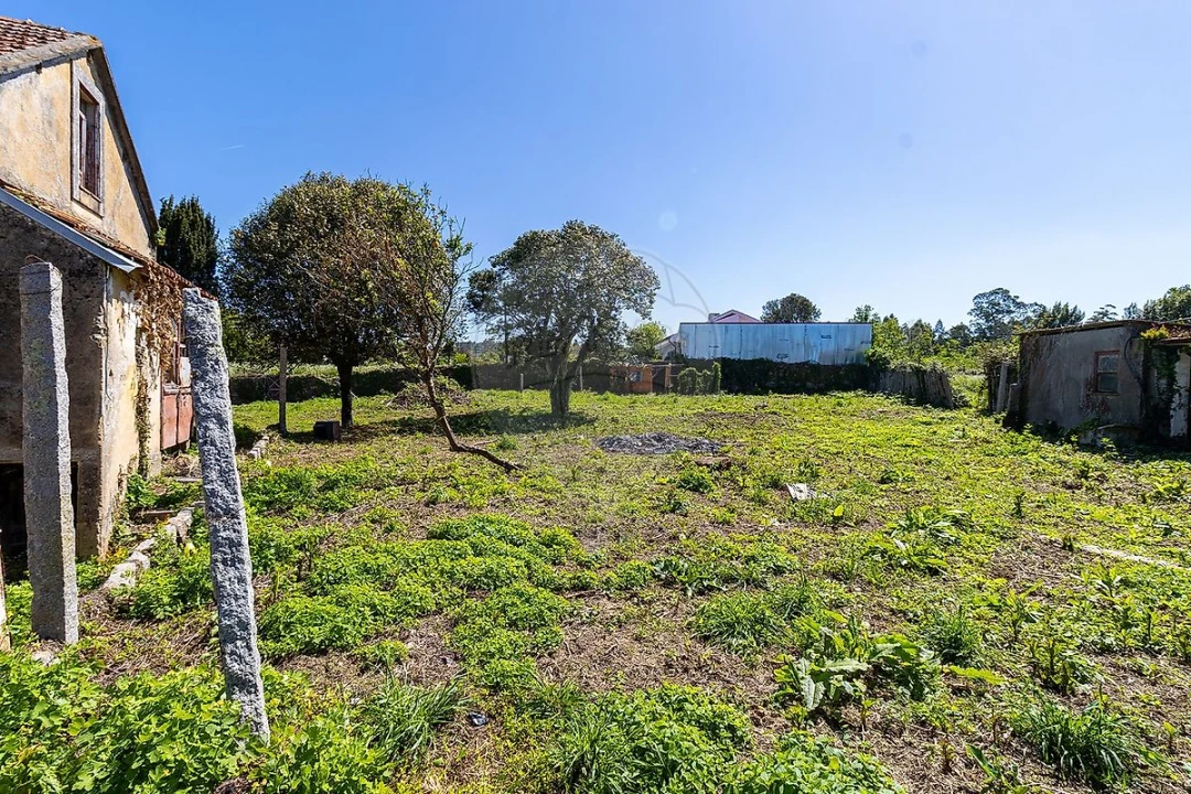 Moradia T5 para Venda em Grijó e Sermonde Foto 36