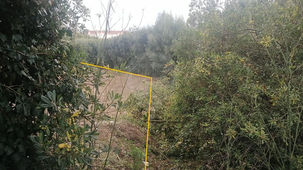Terreno para Venda em São João da Madeira Foto 9