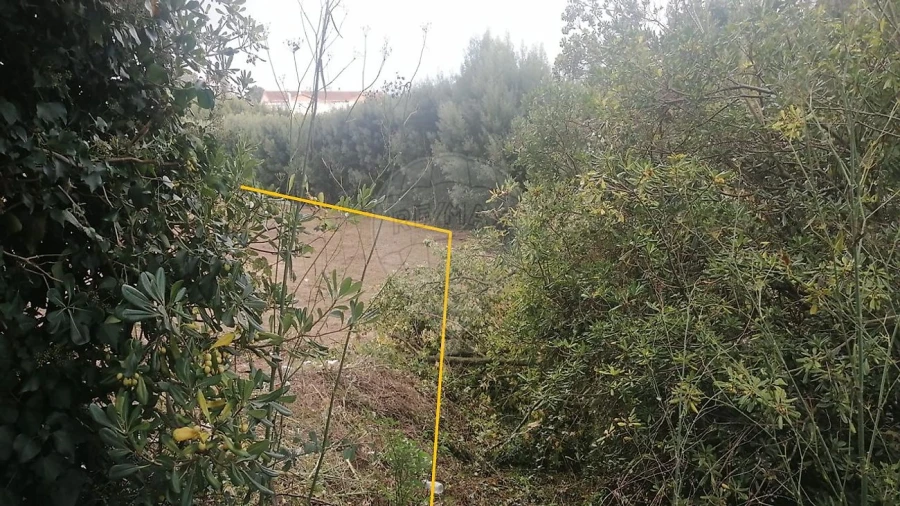 Terreno para Venda em São João da Madeira Foto 9