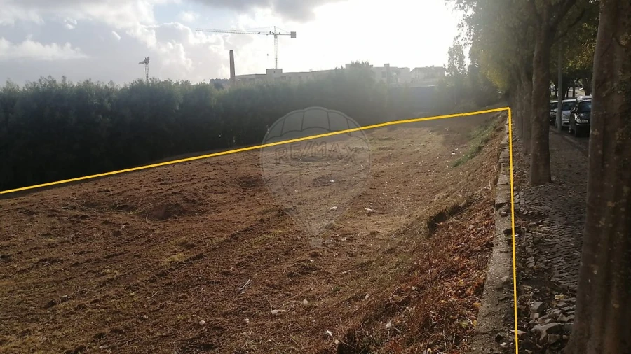 Terreno para Venda em São João da Madeira Foto 6