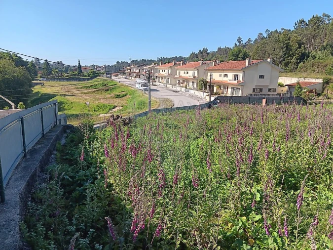 Terreno para Venda em Vila de Cucujães Foto 3