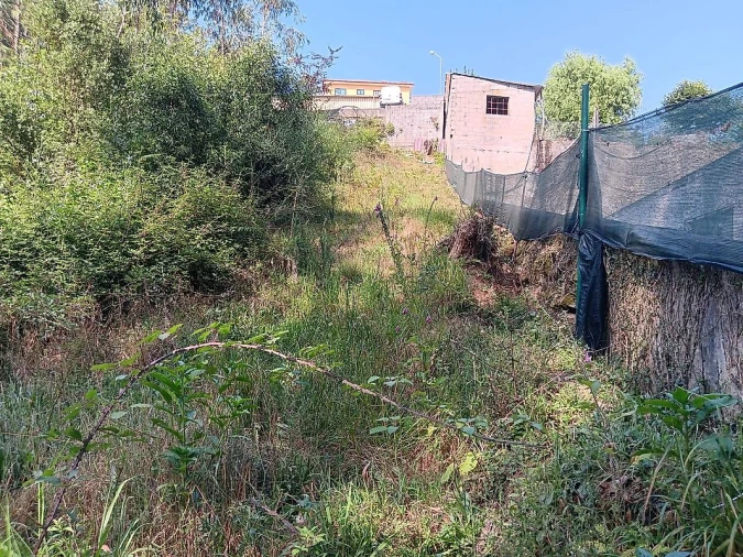 Terreno para Venda em Vila de Cucujães Foto 4